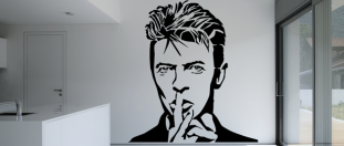 Nlepka na stnu David Bowie, polep na stnu a nbytek