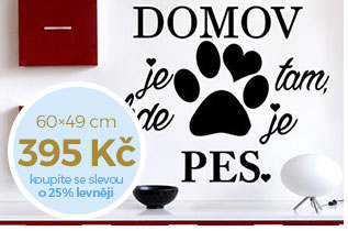 Domov a pes (1994)