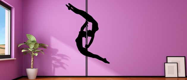 Pole dance double