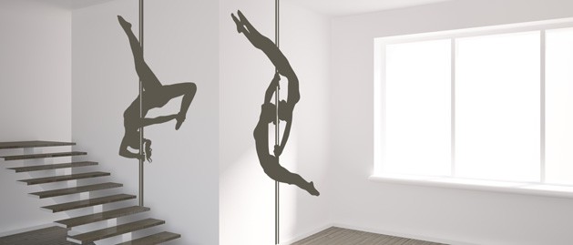 Pole dance double