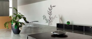 Polep na stnu mosk rostlina, polep na stnu a nbytek