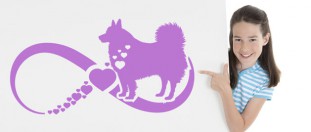 Samolepka na zeď psí láska - americký eskymácký pes, polep na stěnu a nábytek
